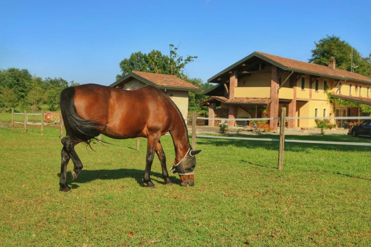 Agriturismo Helianthus Oleggio Dış mekan fotoğraf