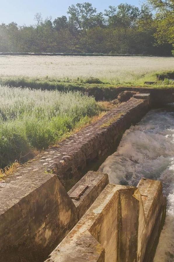 Agriturismo Helianthus Oleggio Dış mekan fotoğraf