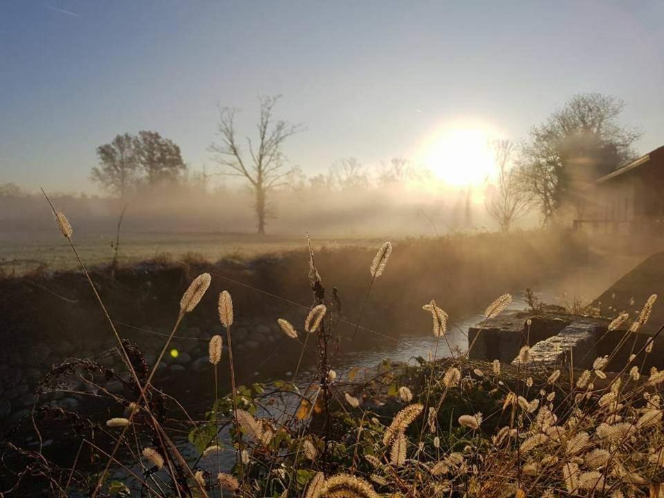 Agriturismo Helianthus Oleggio Dış mekan fotoğraf
