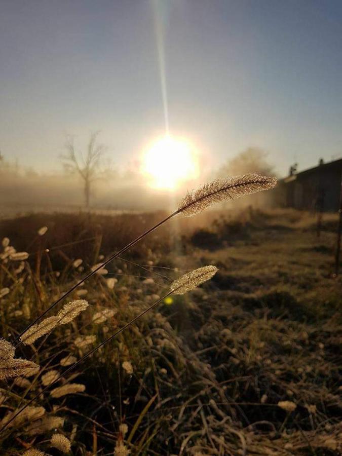 Agriturismo Helianthus Oleggio Dış mekan fotoğraf