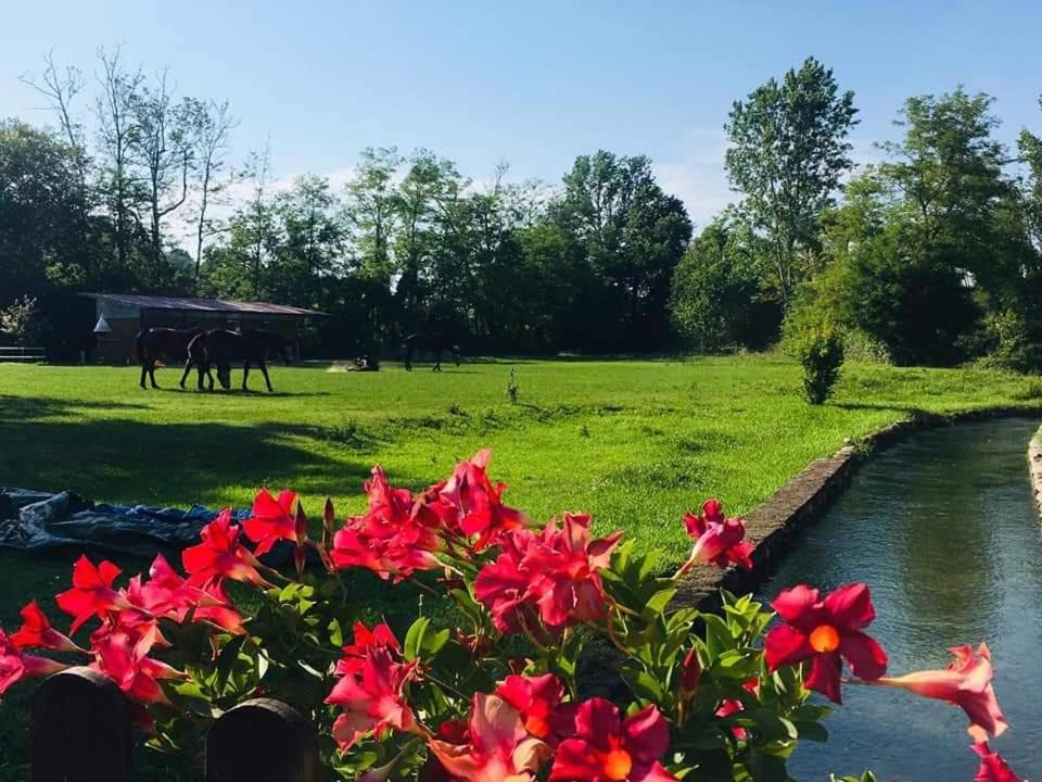 Agriturismo Helianthus Oleggio Dış mekan fotoğraf