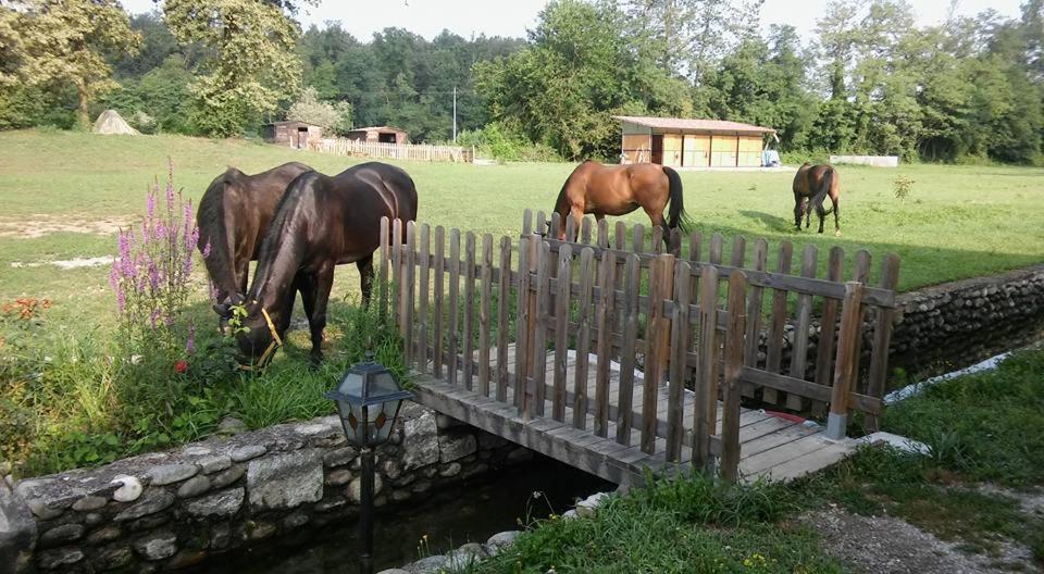 Agriturismo Helianthus Oleggio Dış mekan fotoğraf